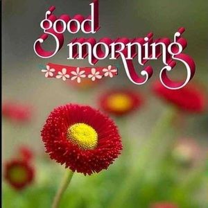 Meet your Posher, Harpreet singh